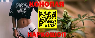 стаф Бийск