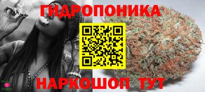 стаф Бийск