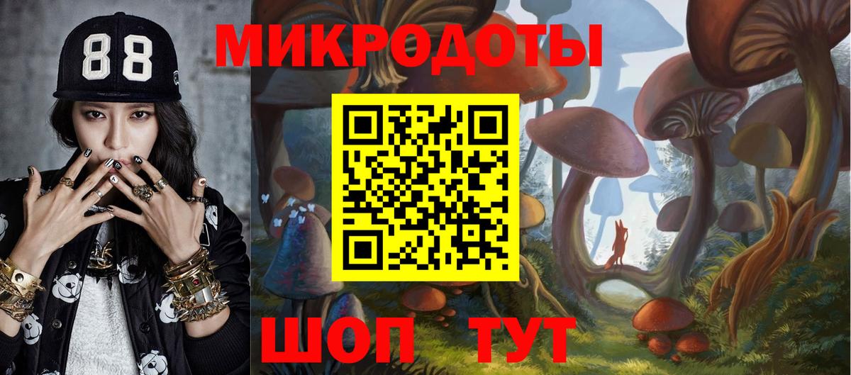 Псилоцибиновые грибы Cubensis Знаменск